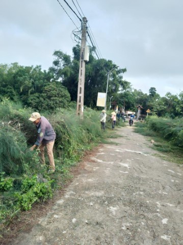 Sáng ngày 19/7/2024, BPT thôn cùng toàn thể bà con nhân dân thôn Yên Mỹ tổ chức lao động tuyến Cầu Biền Hồ - NVH thôn